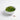 Salad Wakame